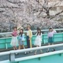 妄キャリが“桜色ダイアリー×写ルンです写真展”開催を発表！ - 画像一覧（3/9）