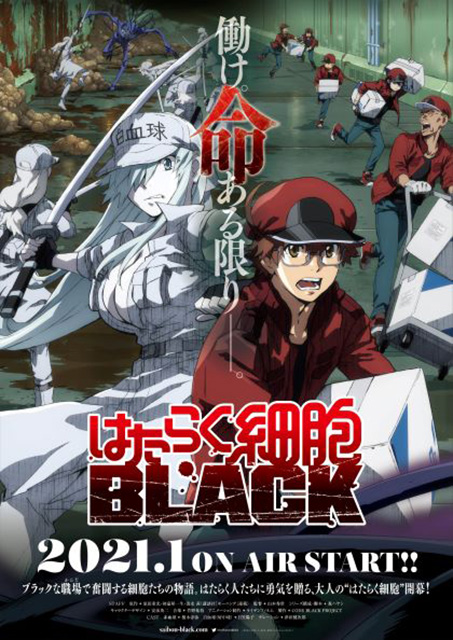 『はたらく細胞BLACK』2021年1月TVアニメ化決定！PV＆キービジュアル＆メインスタッフ・キャストを一挙公開！