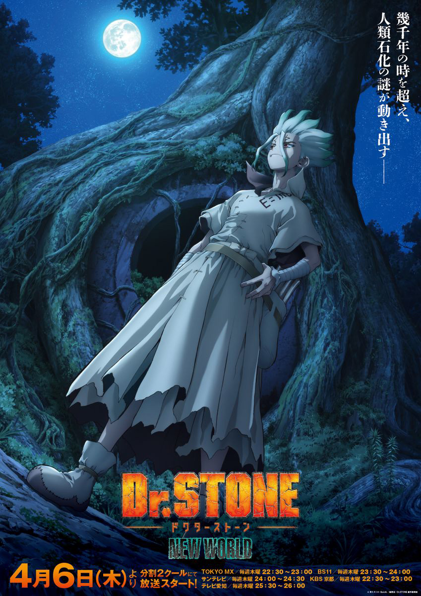 アニメ第3期『Dr.STONE NEW WORLD』メインビジュアル解禁！EDテーマは