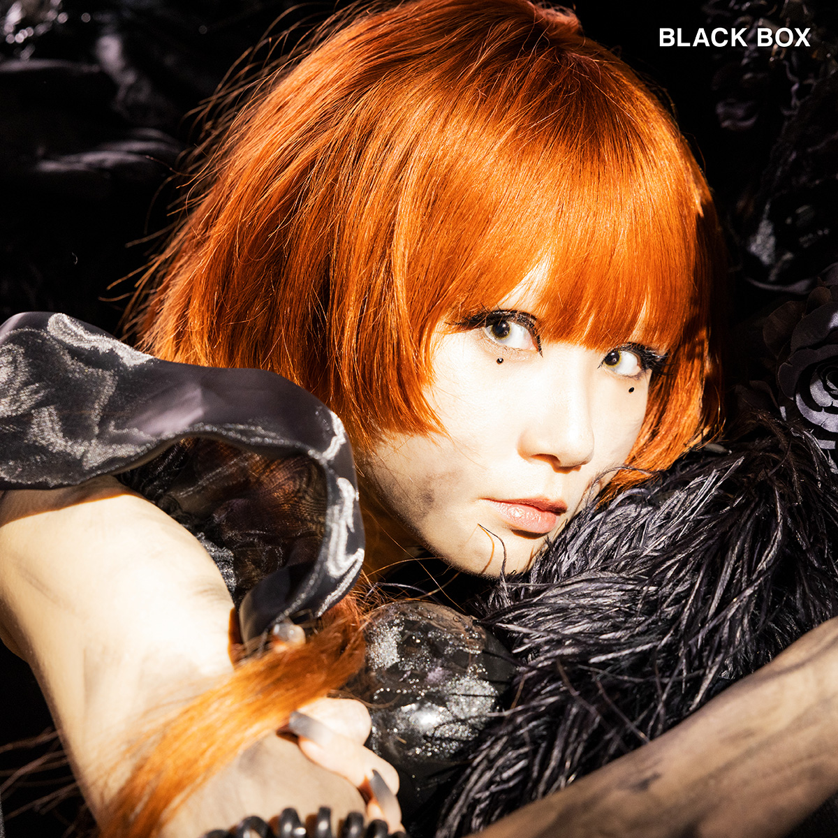 Reol、ニューアルバム『BLACK BOX』強力クリエイター陣が手掛けた収録曲公開！ - 画像一覧（2/5）