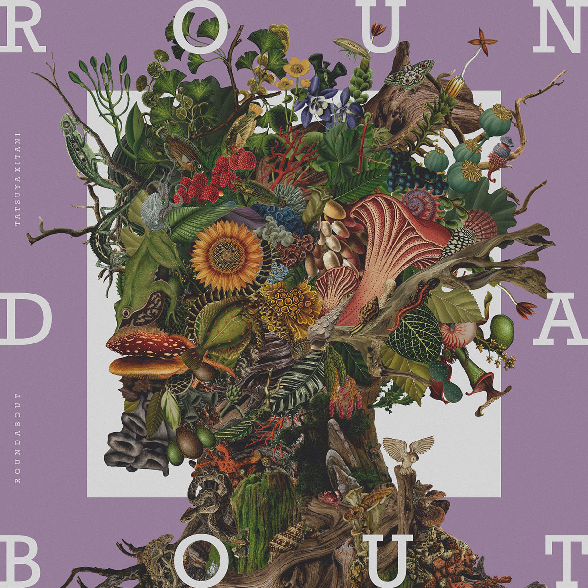 キタニタツヤ、アルバム『ROUNDABOUT』収録曲情報解禁！ - 画像一覧（3/3）