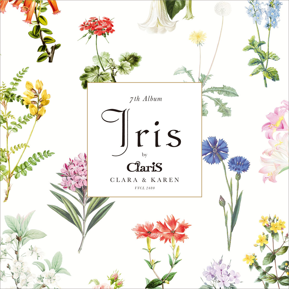 様々な色に輝く約2年ぶりのオリジナルアルバム『Iris』リリース！ClariSのクララとカレンが想いを語る。 - 画像一覧（4/4）